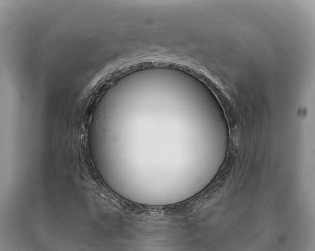 X0000091071495200708061011