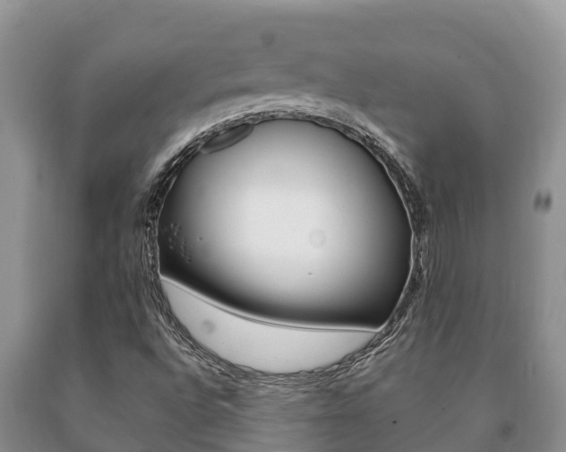 X0000091071496200708061011