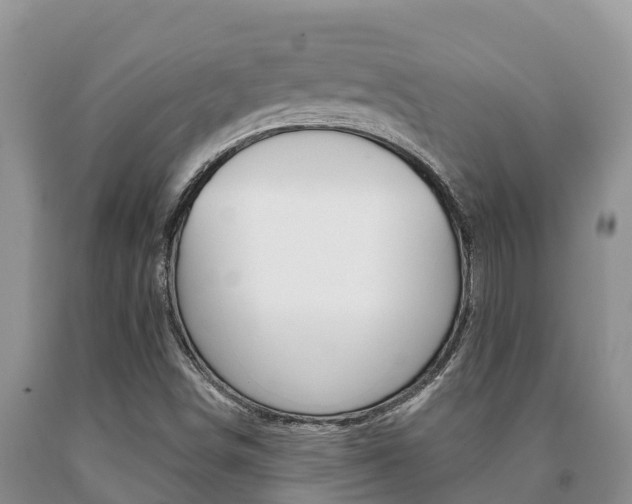 X0000091071498200708061011