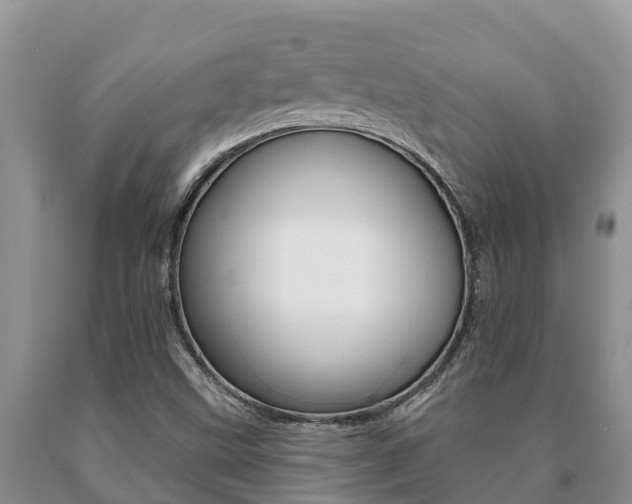 X0000091071499200708061011