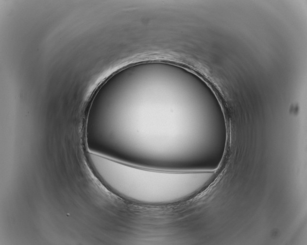 X0000091071500200708061011