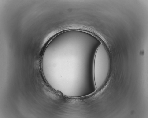 X0000091071501200708061011
