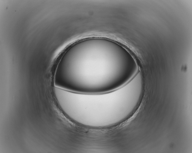 X0000091071502200708061011