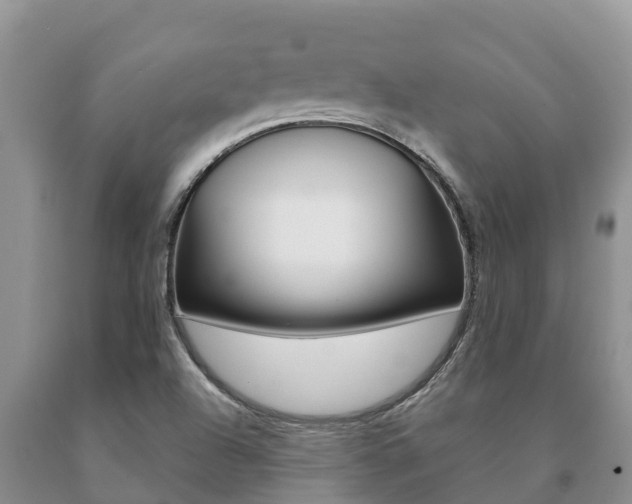 X0000091071504200708061011