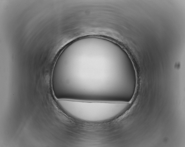 X0000091071505200708061011