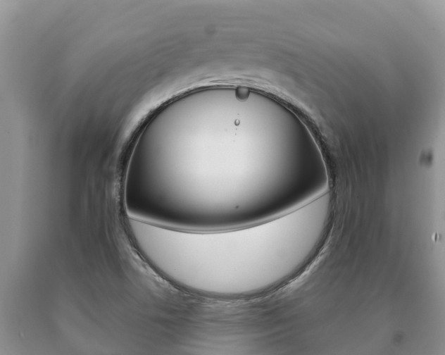 X0000091071506200708061011