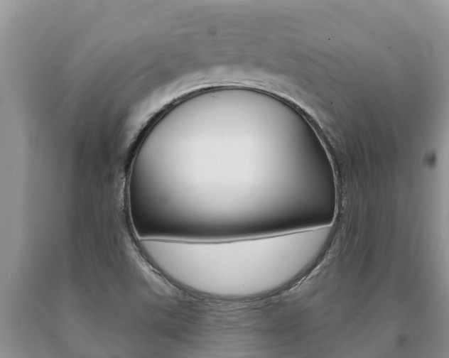 X0000091071507200708061011