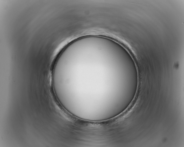 X0000091071509200708061011
