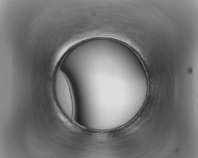 X0000091071511200708061011