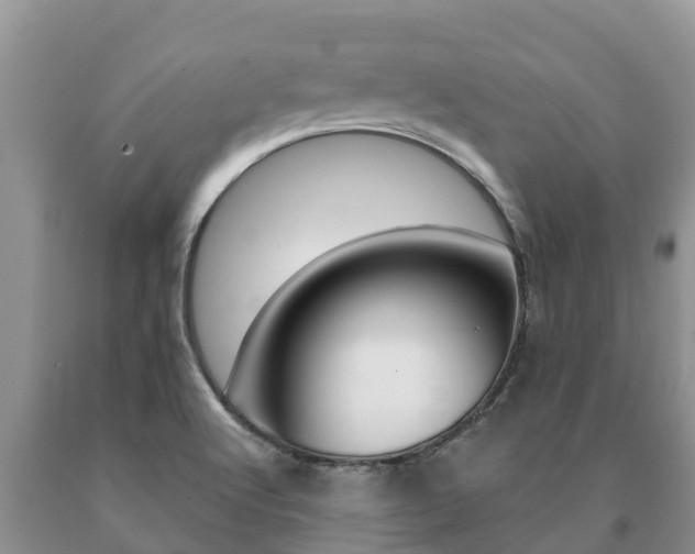 X0000091071512200708061011