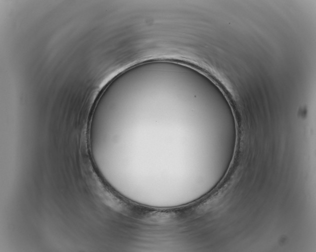 X0000091071513200708061011