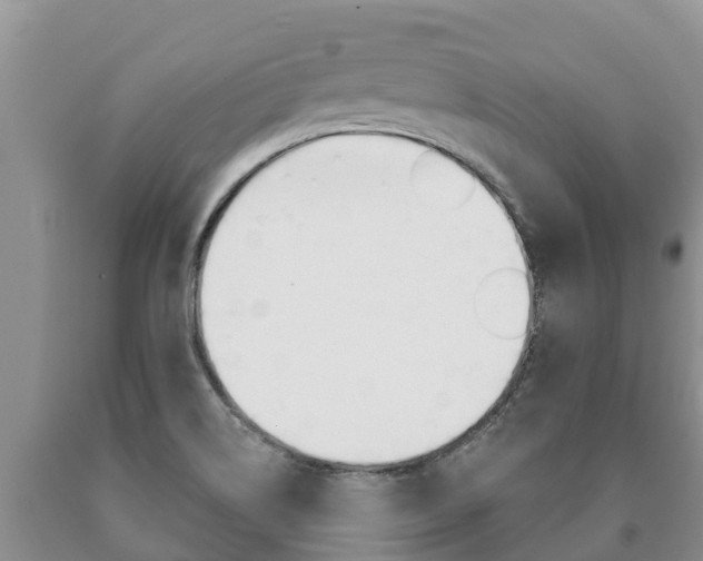 X0000091071514200708061011