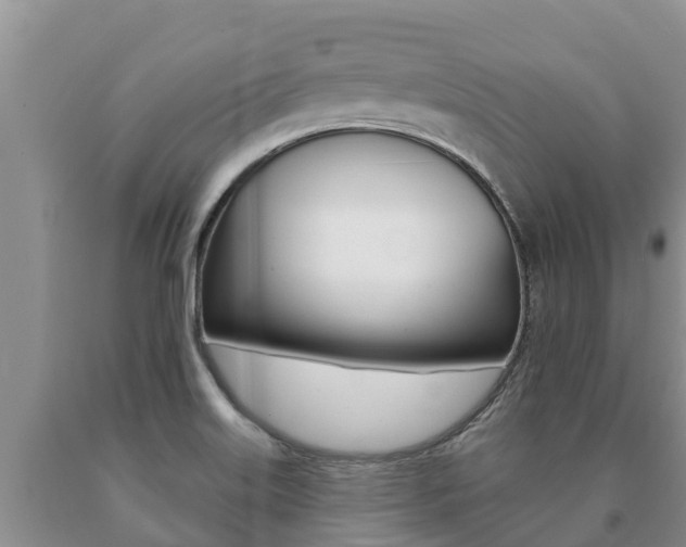 X0000091071515200708061011