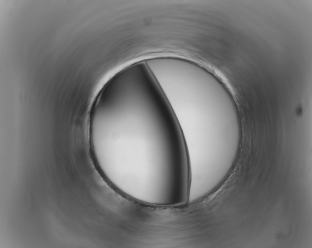 X0000091071516200708061011