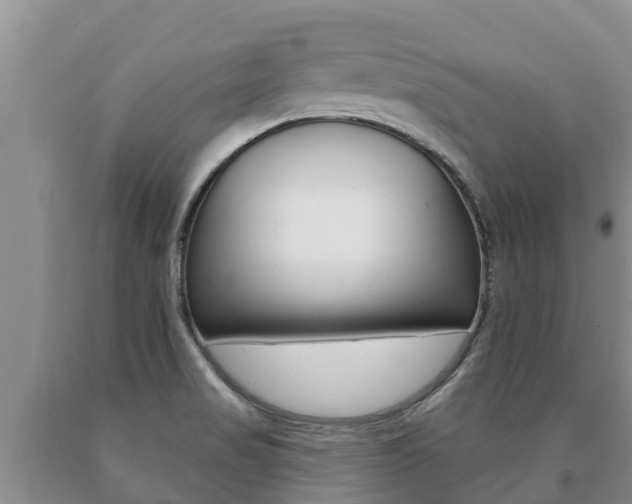 X0000091071517200708061011