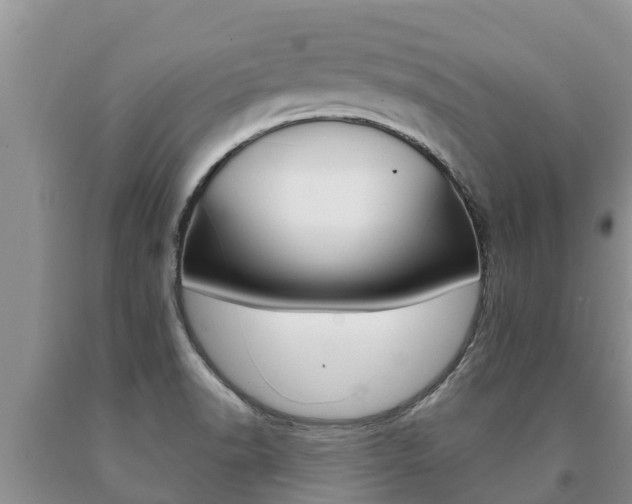 X0000091071518200708061011