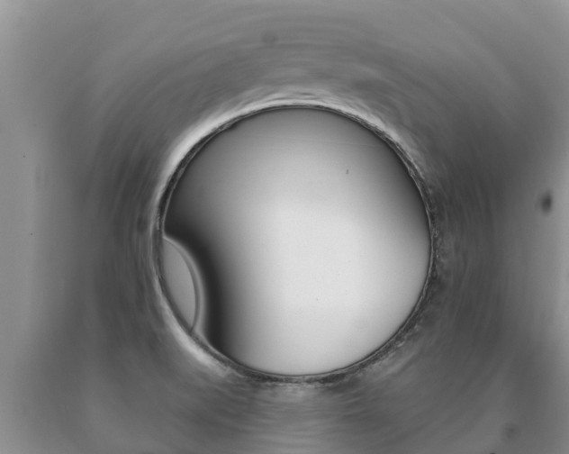X0000091071519200708061011