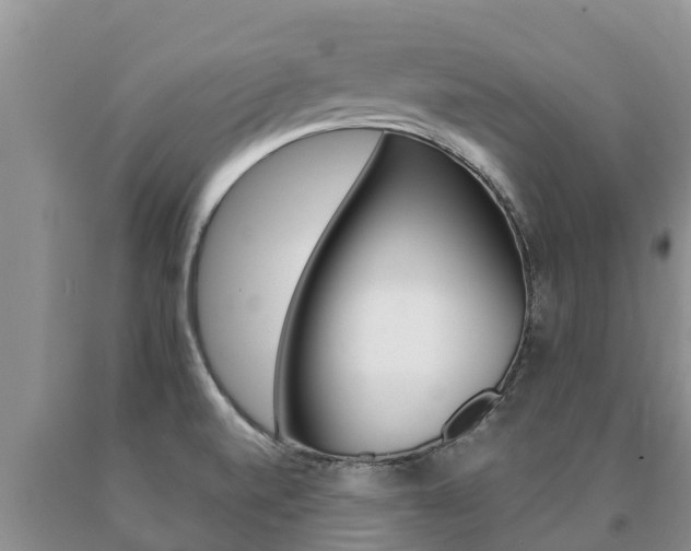 X0000091071520200708061011