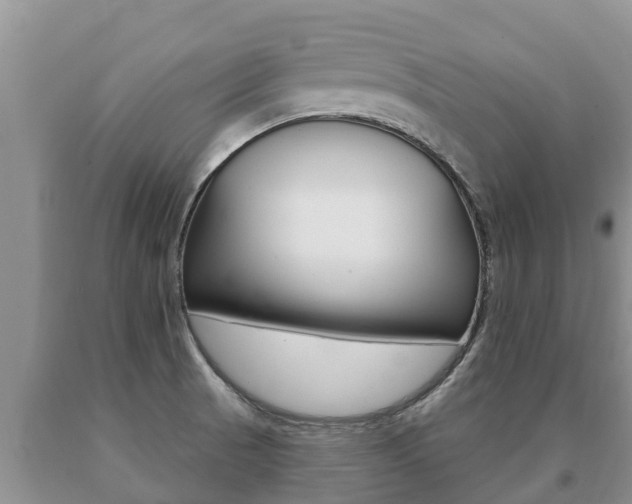 X0000091071521200708061011