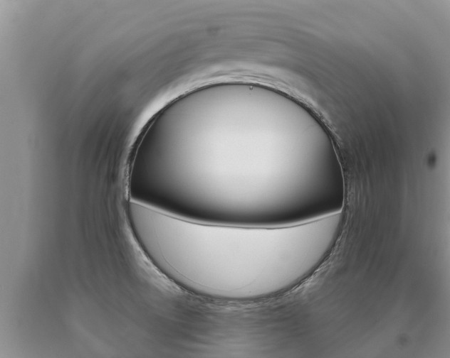 X0000091071522200708061011
