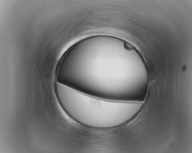 X0000091071523200708061011