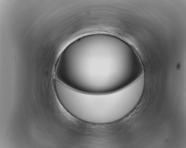 X0000091071524200708061011