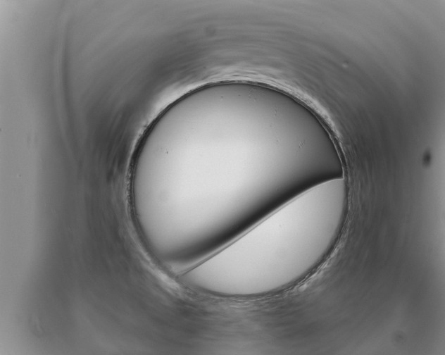 X0000091071525200708061011