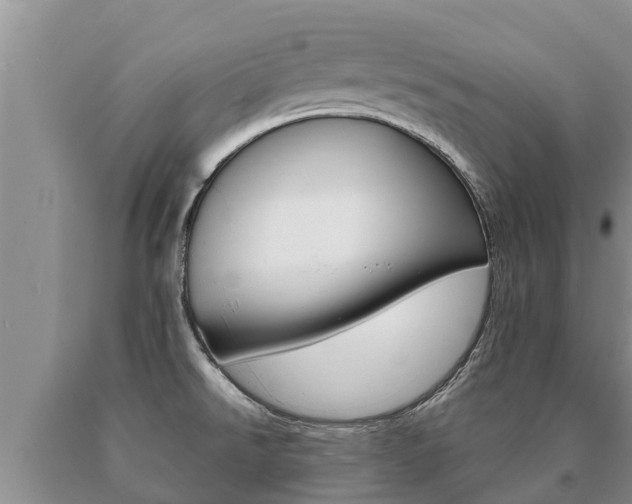 X0000091071526200708061011