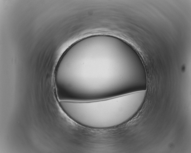 X0000091071527200708061011