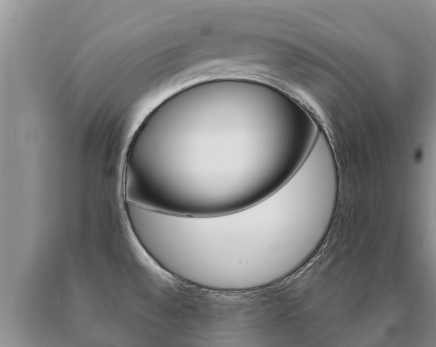 X0000091071528200708061011