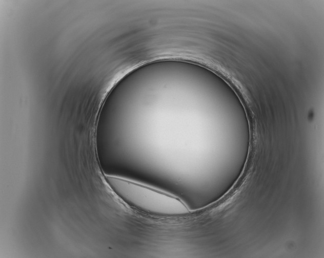 X0000091071529200708061011