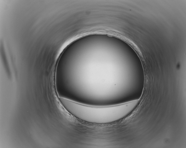 X0000091071530200708061011