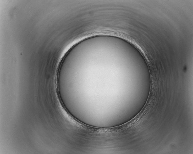 X0000091071531200708061011