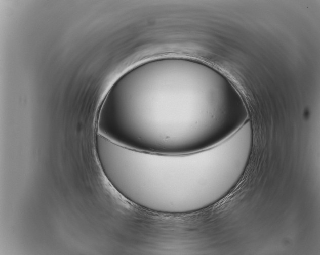 X0000091071532200708061011