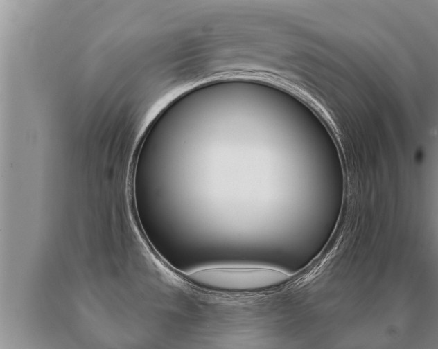 X0000091071533200708061011