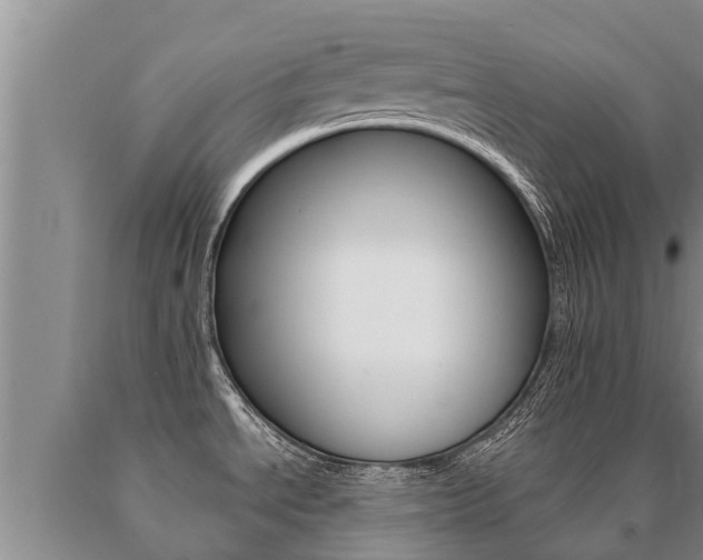 X0000091071534200708061011