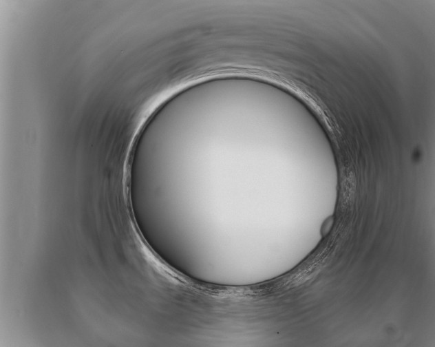 X0000091071535200708061011
