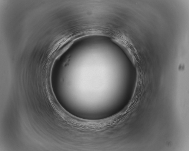 X0000091070001200708061311