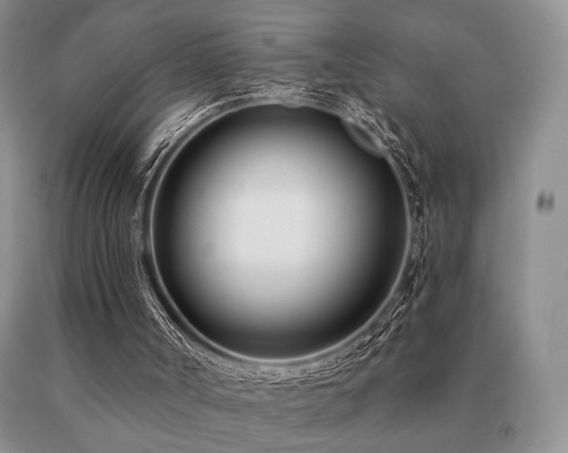 X0000091070002200708061311