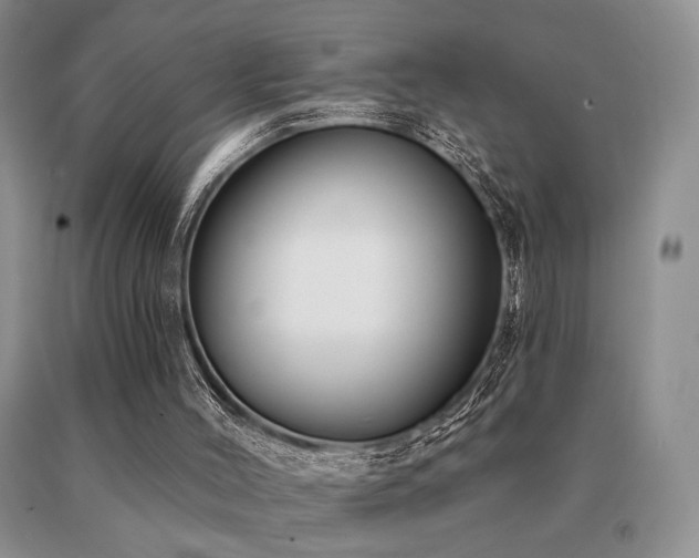 X0000091070004200708061311