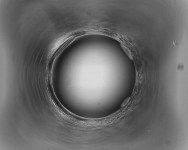 X0000091070005200708061311