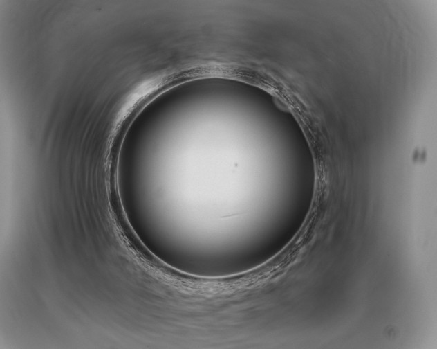 X0000091070006200708061311