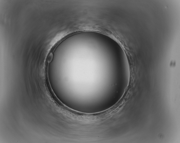 X0000091070008200708061311