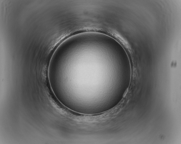 X0000091070009200708061311