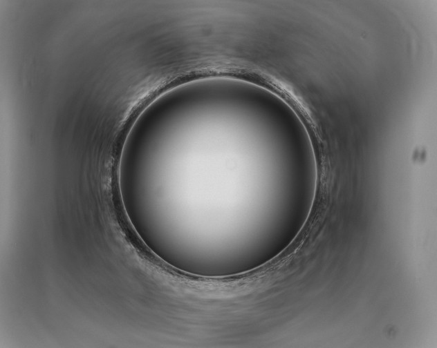 X0000091070010200708061311