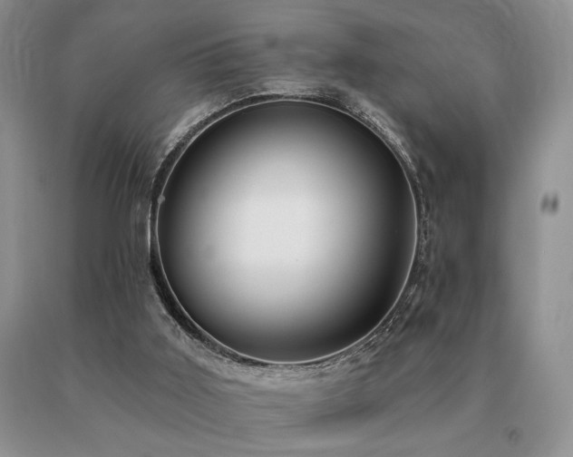 X0000091070011200708061311