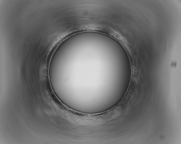 X0000091070012200708061311