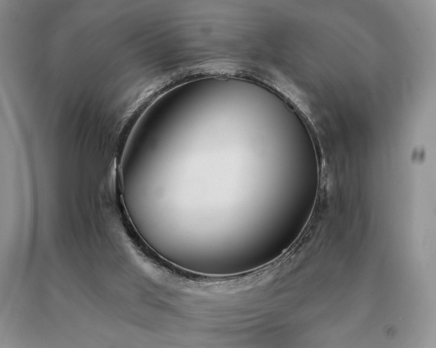X0000091070013200708061311