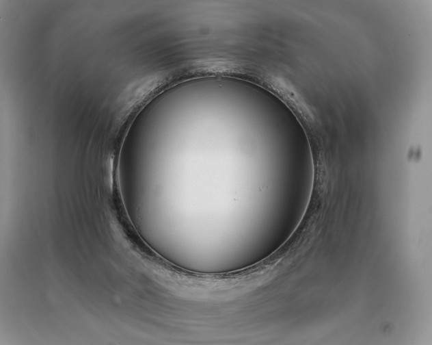 X0000091070014200708061311