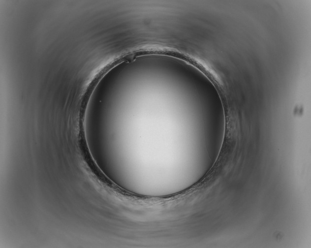 X0000091070015200708061311